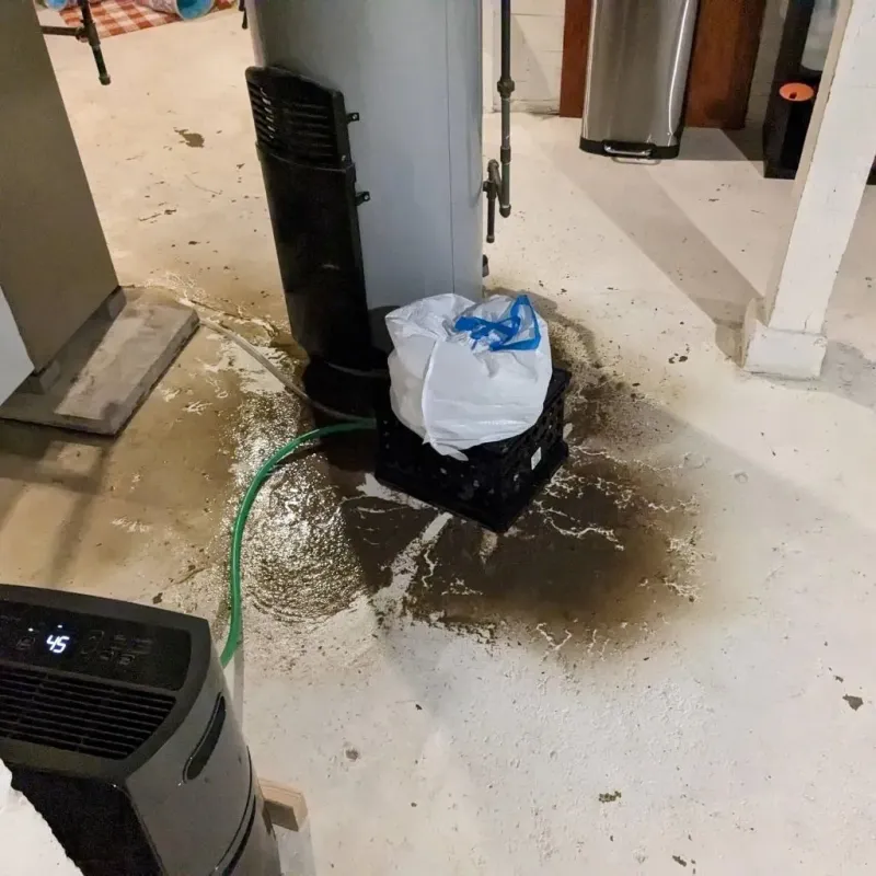 Sewage Backup Cleanup Service in Ava, MO